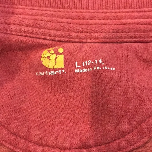 CARHARTT Salmon Zip Up Sweater Size Large - Picture 8 of 9